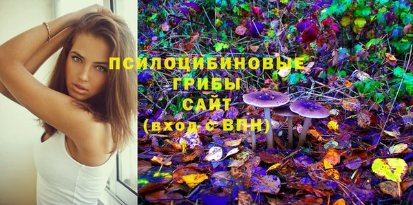 скорость Алексин