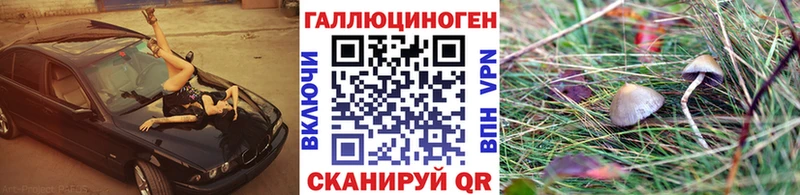 OMG ТОР  Любань  Галлюциногенные грибы MAGIC MUSHROOMS 
